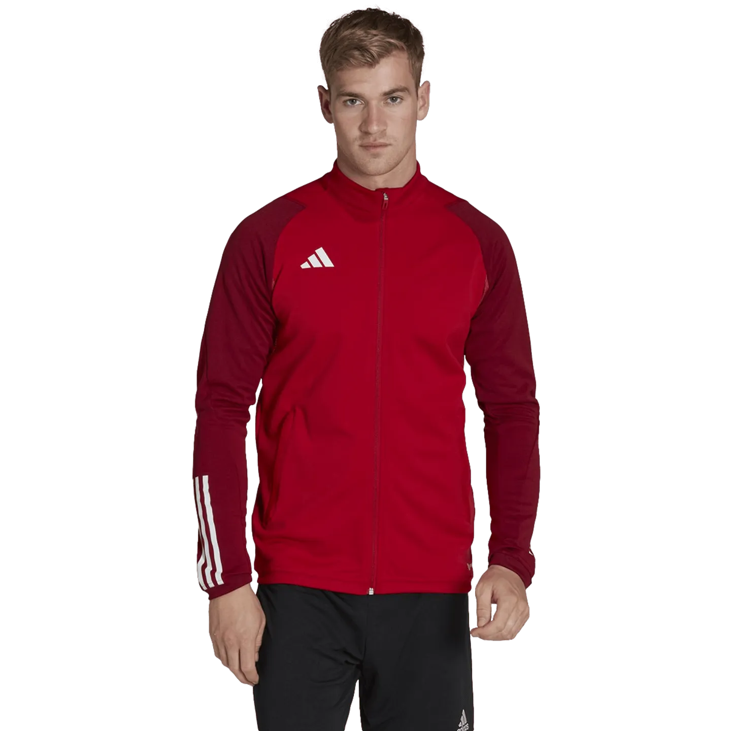 Adidas Tiro 23 Competition Training Jacket