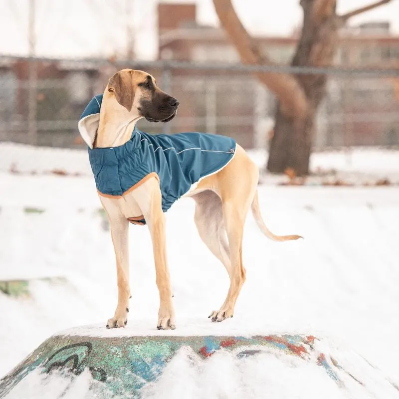 Insulated Dog Raincoat - Dark Blue