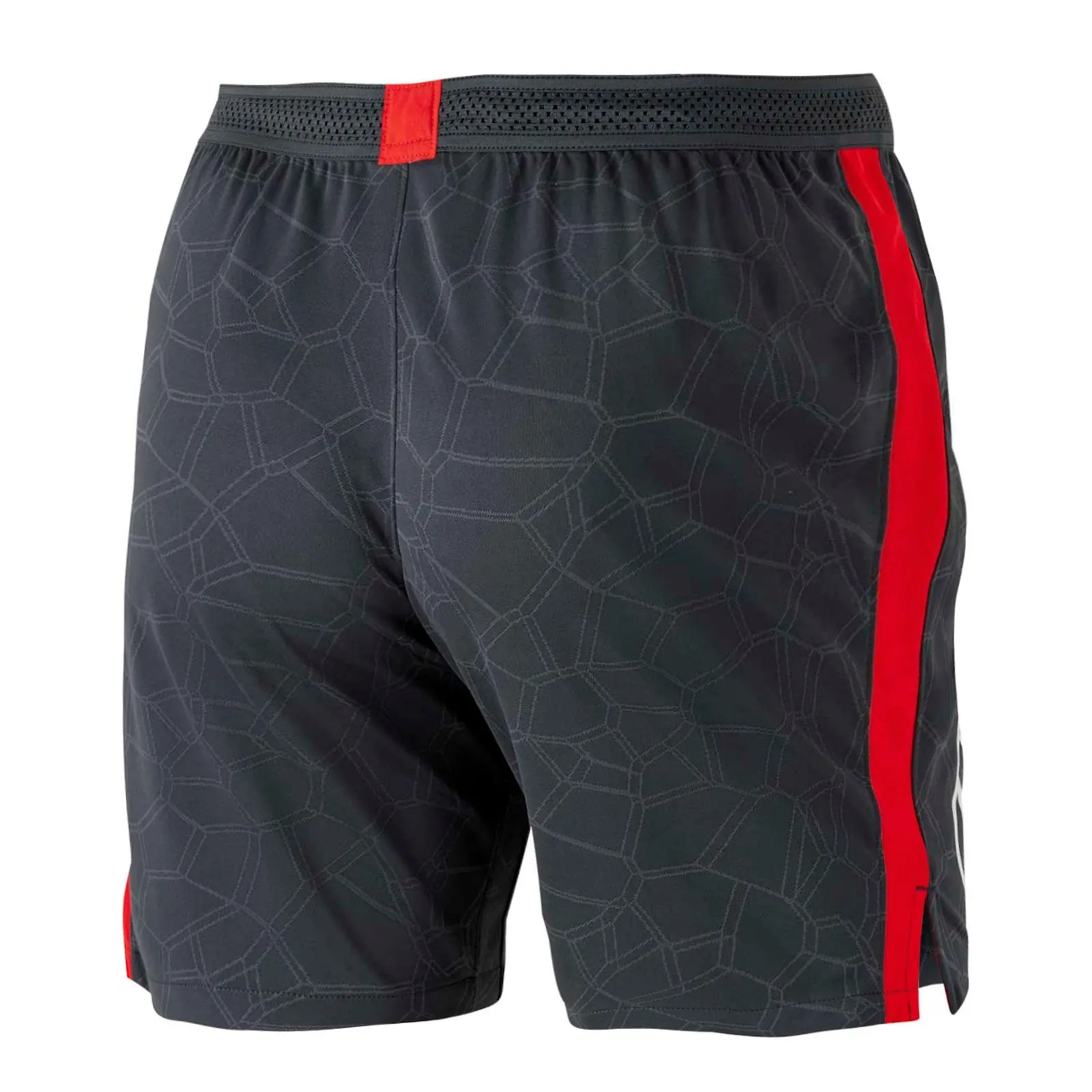 Sydney Swans 2023 Men's AFL Training Gym Shorts by Nike